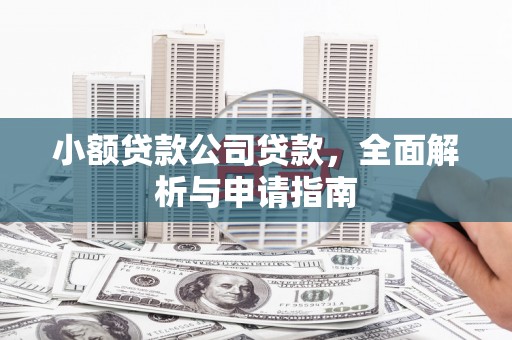 互助小额贷款公司贷款，全面解析与申请指南
