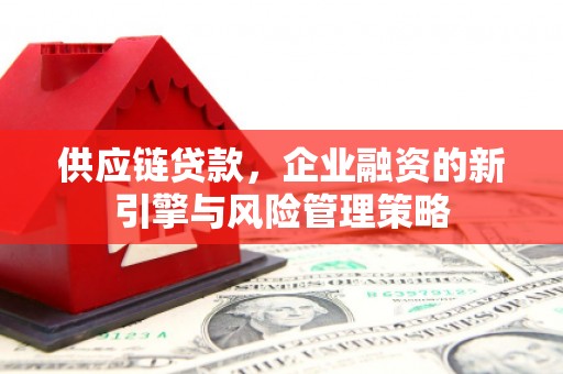 互助供应链贷款，企业融资的新引擎与风险管理策略