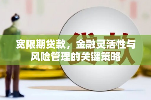 互助宽限期贷款，金融灵活性与风险管理的关键策略