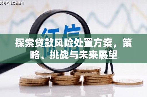 互助探索贷款风险处置方案，策略、挑战与未来展望
