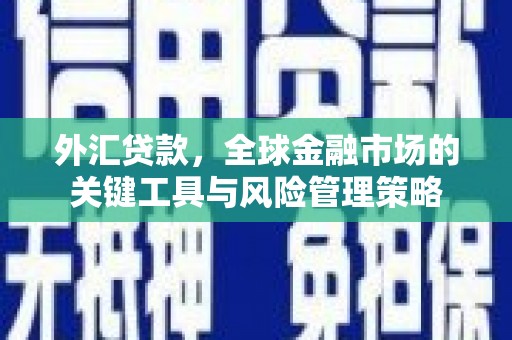 互助外汇贷款，全球金融市场的关键工具与风险管理策略