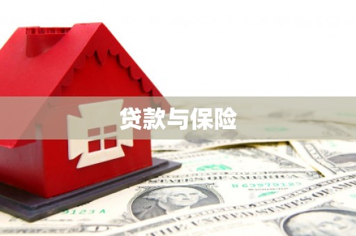 互助贷款与保险