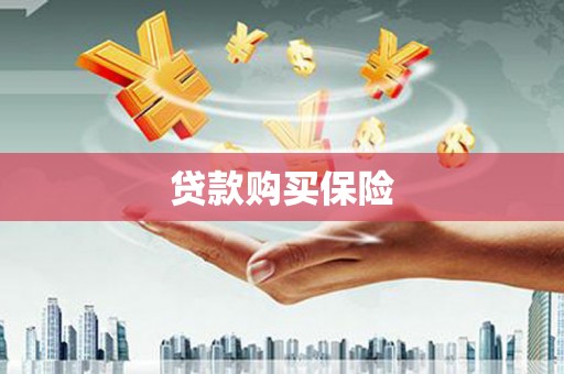 互助贷款购买保险