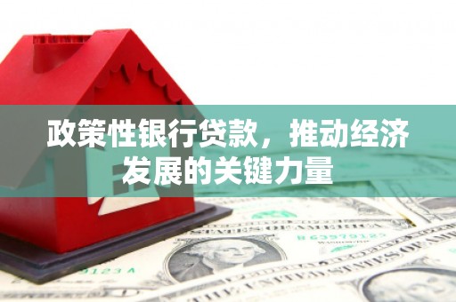 互助政策性银行贷款，推动经济发展的关键力量