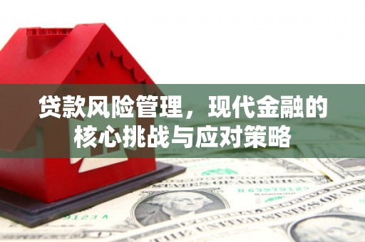 互助贷款风险管理，现代金融的核心挑战与应对策略