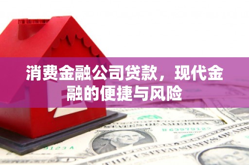 互助消费金融公司贷款，现代金融的便捷与风险