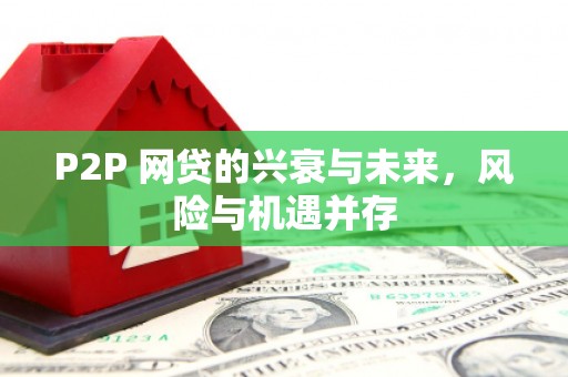 互助P2P 网贷的兴衰与未来，风险与机遇并存