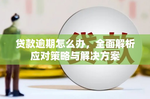 互助贷款逾期怎么办，全面解析应对策略与解决方案